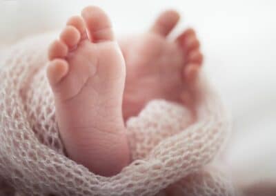 Bienvenue Joséphine!